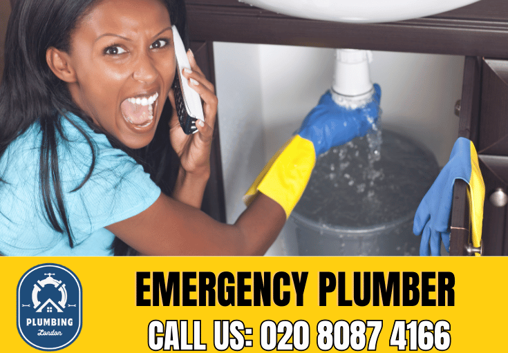 emergency plumber Belsize Park