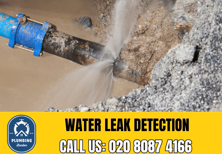 leak detection Belsize Park